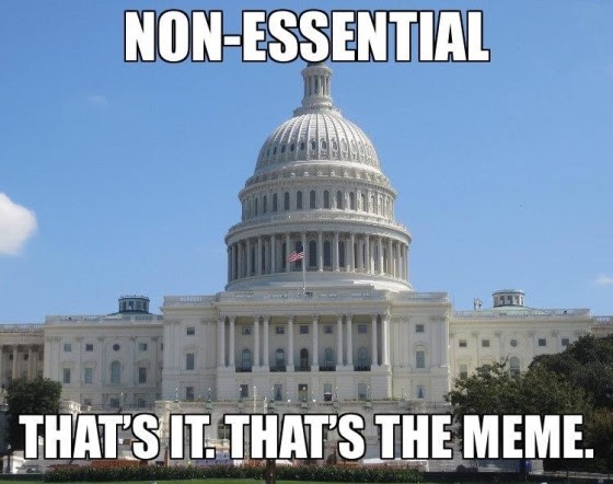 non essential government