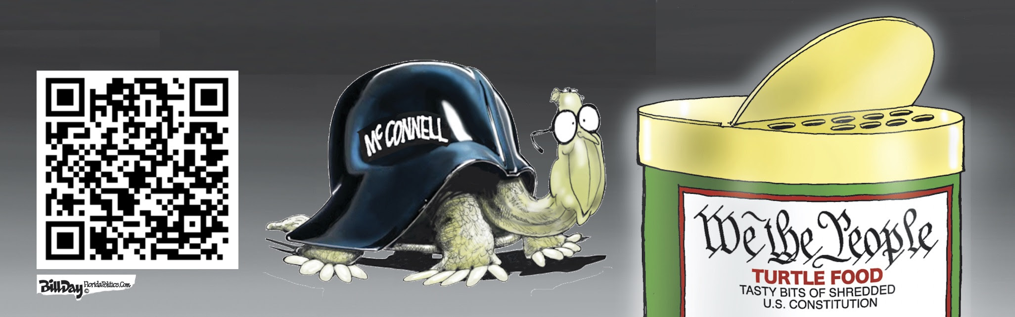 QR Code to learn about the McConnell democracy eating turtle