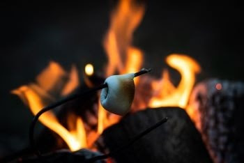 A gooey marshmallow is toasted in the orange light of a flickering campfire 