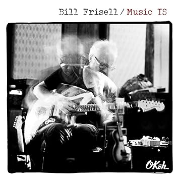 Image result for music is bill frisell