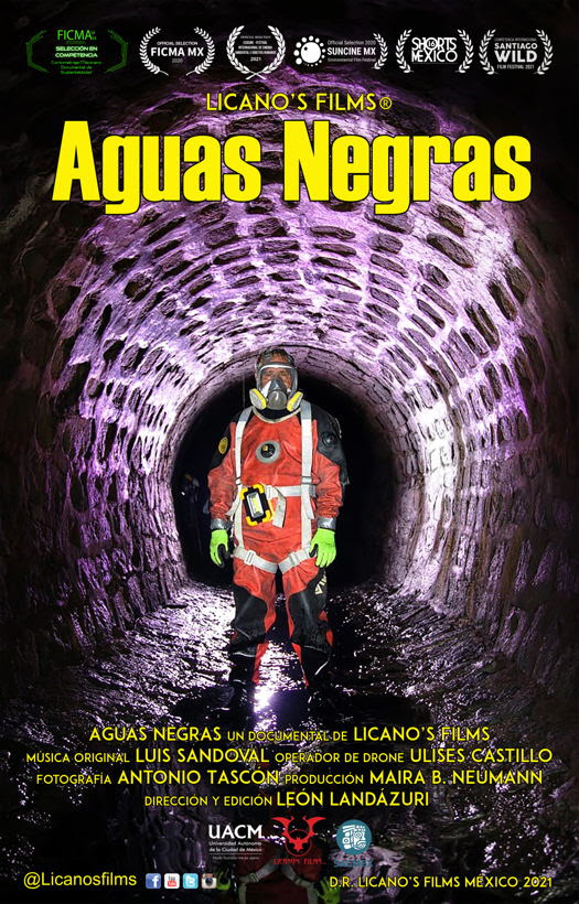 Aguas negras