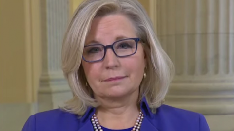 Nearly 90 Pct. of Wyoming GOP Vote to Censure Liz Cheney After Impeachment Vote Against Trump