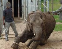 Please sign the petition today!
