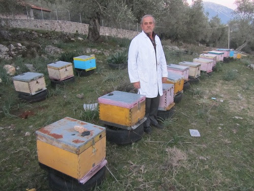 Η φύση προσφέρει μοναδική ποιότητα μελιού