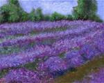 ORIGINAL LANDSCAPE PAINTING OF EVERGREEN LAVENDER FIELD #2 - Posted on Thursday, February 26, 2015 by Sue Furrow