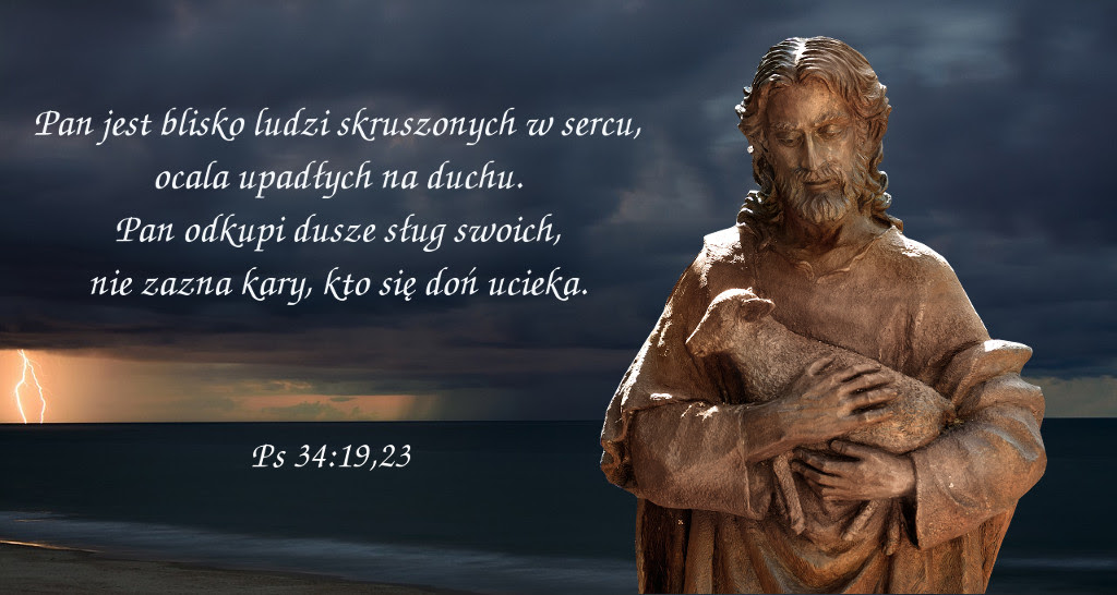 Podobny obraz