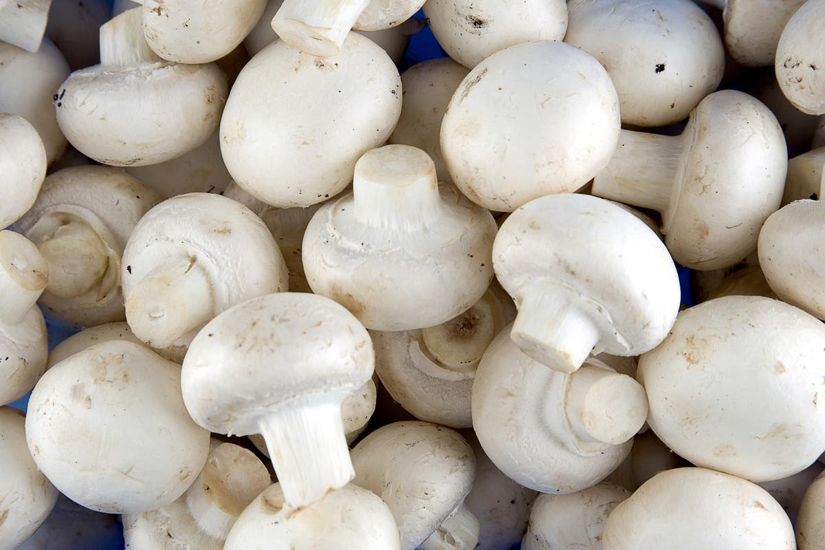 White button mushrooms could one day prove a powerful tool in suppressing prostate cancer, new research suggests