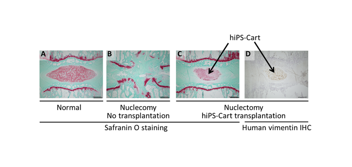 Fig.1