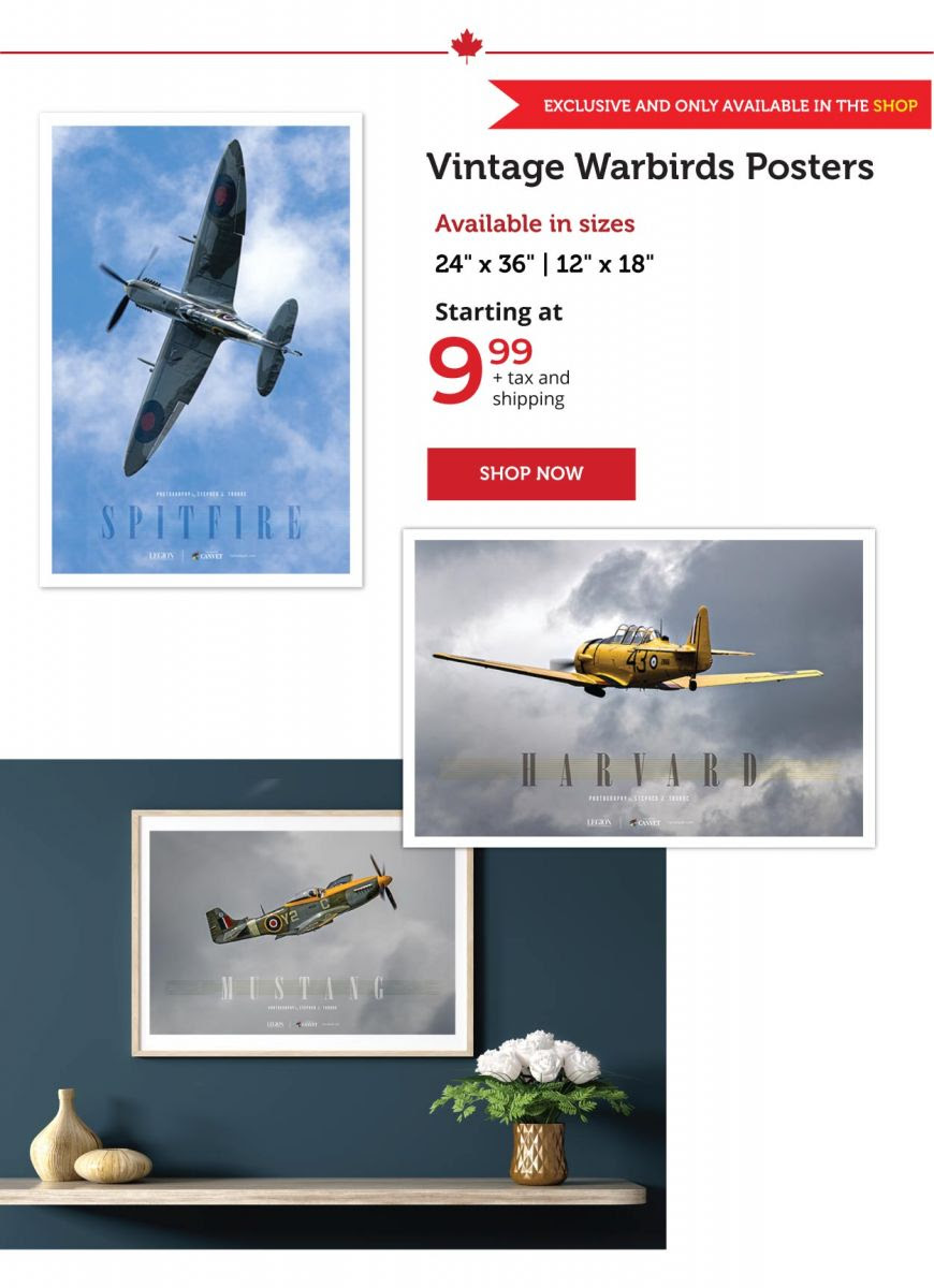 Vintage Warbirds posters now on sale! 
