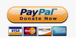 Paypal donation button