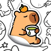 Sticker Book Puzzle