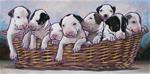 Bull Terrier Puppies - Posted on Monday, March 23, 2015 by Nadi Spencer