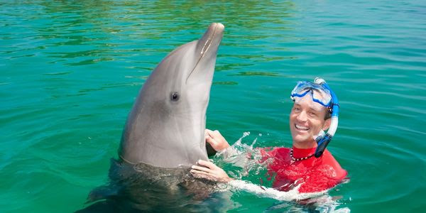 White man smiling in the water with a dolphin