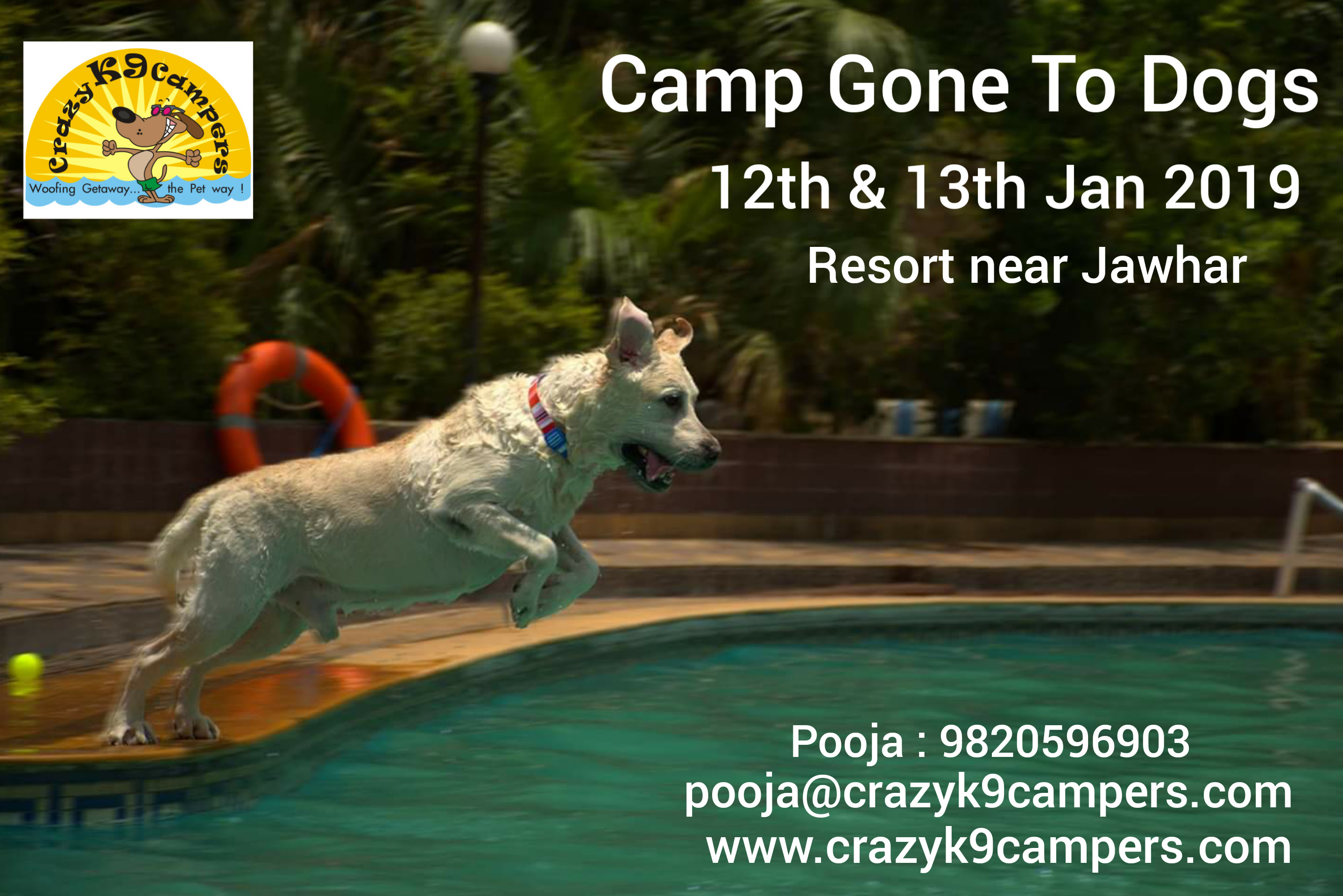 Camp Gone To Dogs - Jan 2019 - Crazy K9 Campers