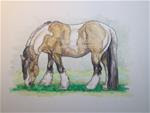 GRAZING BUCKSKIN GYPSY VANNER HORSE  Draw 16 - Posted on Saturday, January 17, 2015 by Sheri Cook