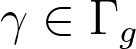 \gamma\in\Gamma_g