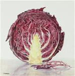 Red Cabbage - Posted on Tuesday, January 13, 2015 by Linda Demers