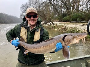 Technician holds lake sturgeon.