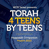 Torah 4 Teens