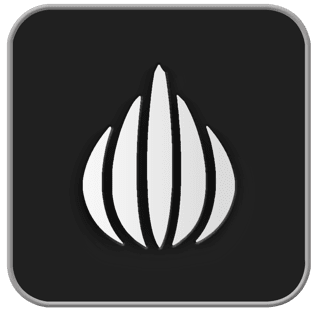 OnionSkinIcon