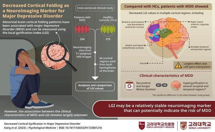 Decreased cortical folding and its association with major depressive disorder