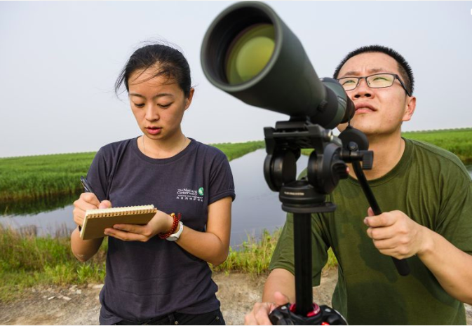 People Birdwatching