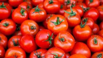 Producción de tomate en la UE caería 3% este año, hasta los 6.2 millones de toneladas