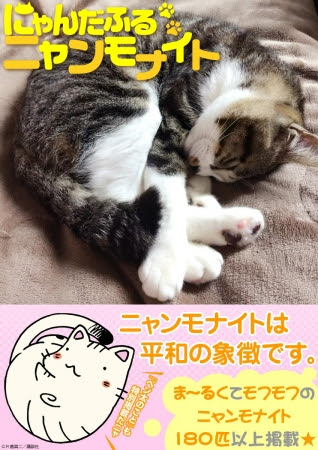 にゃんだふるニャンモナイト