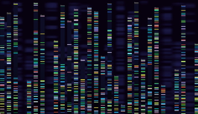 How DNA testing will accelerate precision medicine, preventive care