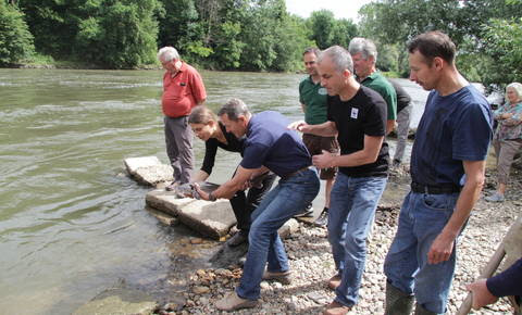 Brod na Muri: Kako zeleni so Zeleni?
