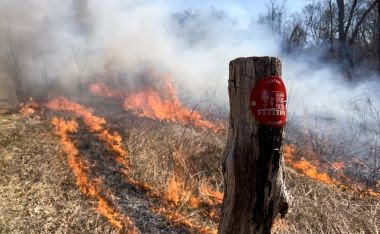 A red trail marker is seen with flames from prescribed fire behind it.