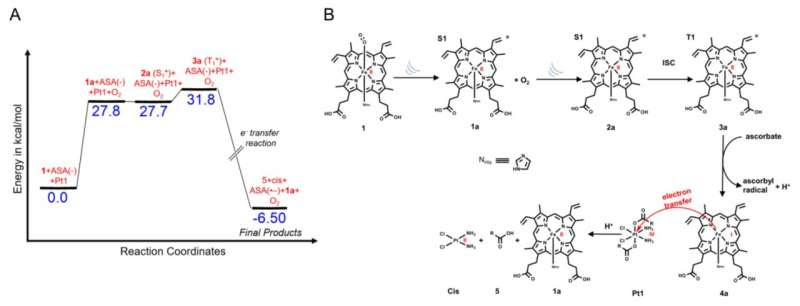 Ultrasound activates anticancer agent