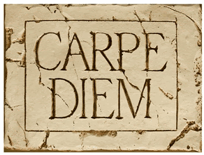 Image result for carpe diem