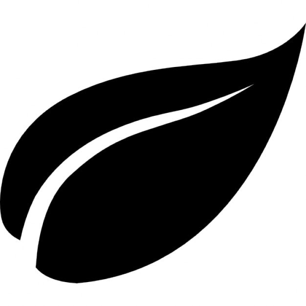 Image result for leaf black and white