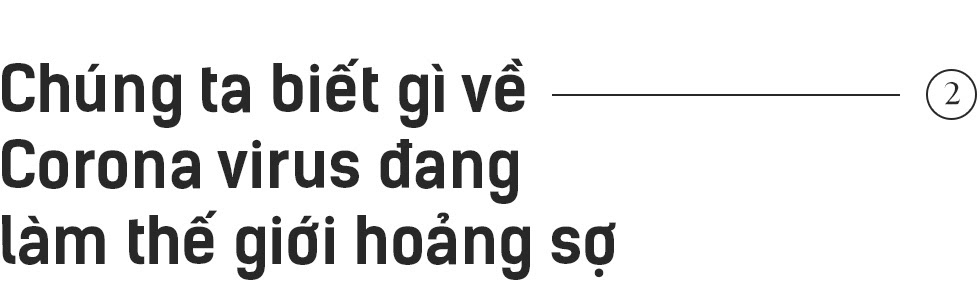 Những người tuyệt vọng ở Vũ Hán và đại dịch Corona nhìn từ đồ họa trực quan - Ảnh 6. Những người tuyệt vọng ở Vũ Hán và đại dịch Corona nhìn từ đồ họa trực quan - Ảnh 6.