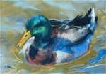 Mallard at Beaverdam Park - Posted on Monday, March 9, 2015 by Catherine Kauffman