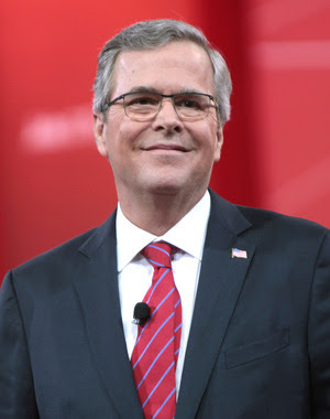 jeb bush