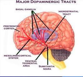 Sistema dopaminérgico
