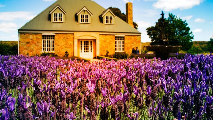 levander-curb-appeal
