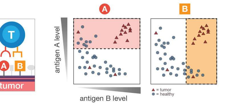 Computing empowers immune cells to kill cancer