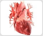 Experimental molecular therapy to block matrix-forming protein may prevent heart failure