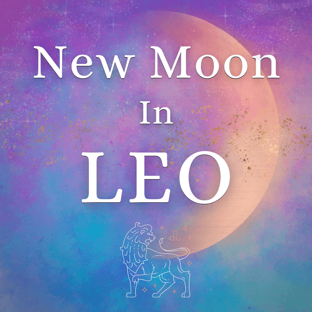 🌙 🦁 New Moon In Leo: Be Loved For Who You Are – August 16, 2023 – Rose ...