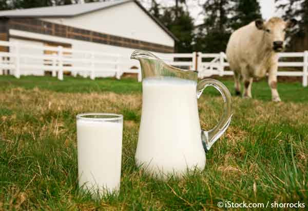 organic dairy fraud