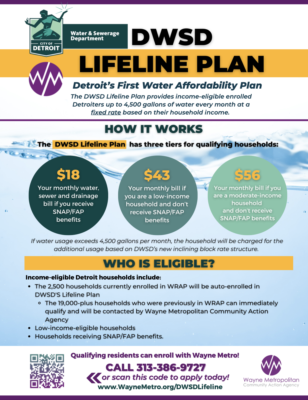 DWSD Lifeline Plan