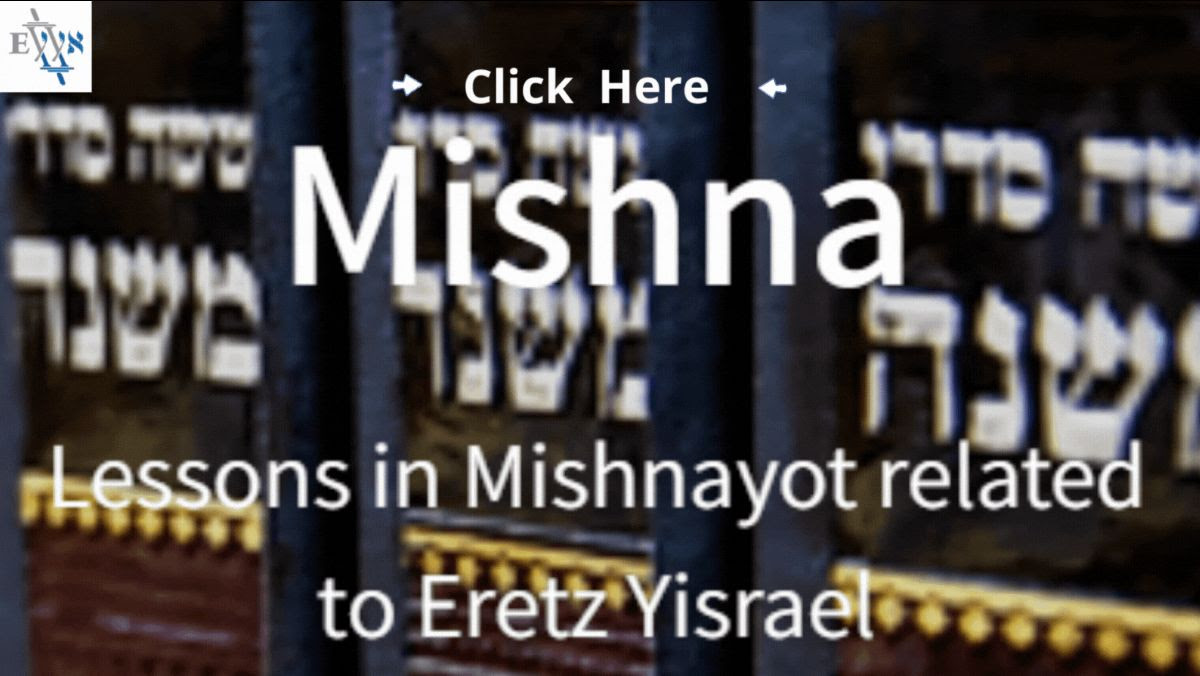 Eretz Yisrael In The Parasha: The Omer And The Two Loaves | Israel ...