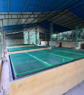 NALCO vermicompost