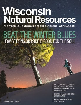Wisconsin Natural Resources Magazine cover featuring a woman walking at night in snow near tree.
