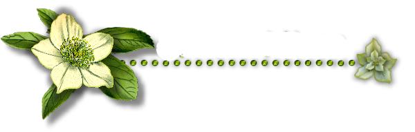(600x191, 82Kb)