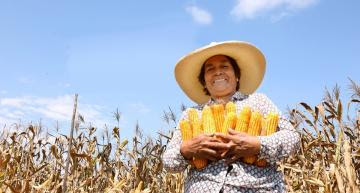 Midagri: Sector agropecuario crece en setiembre 11.5%