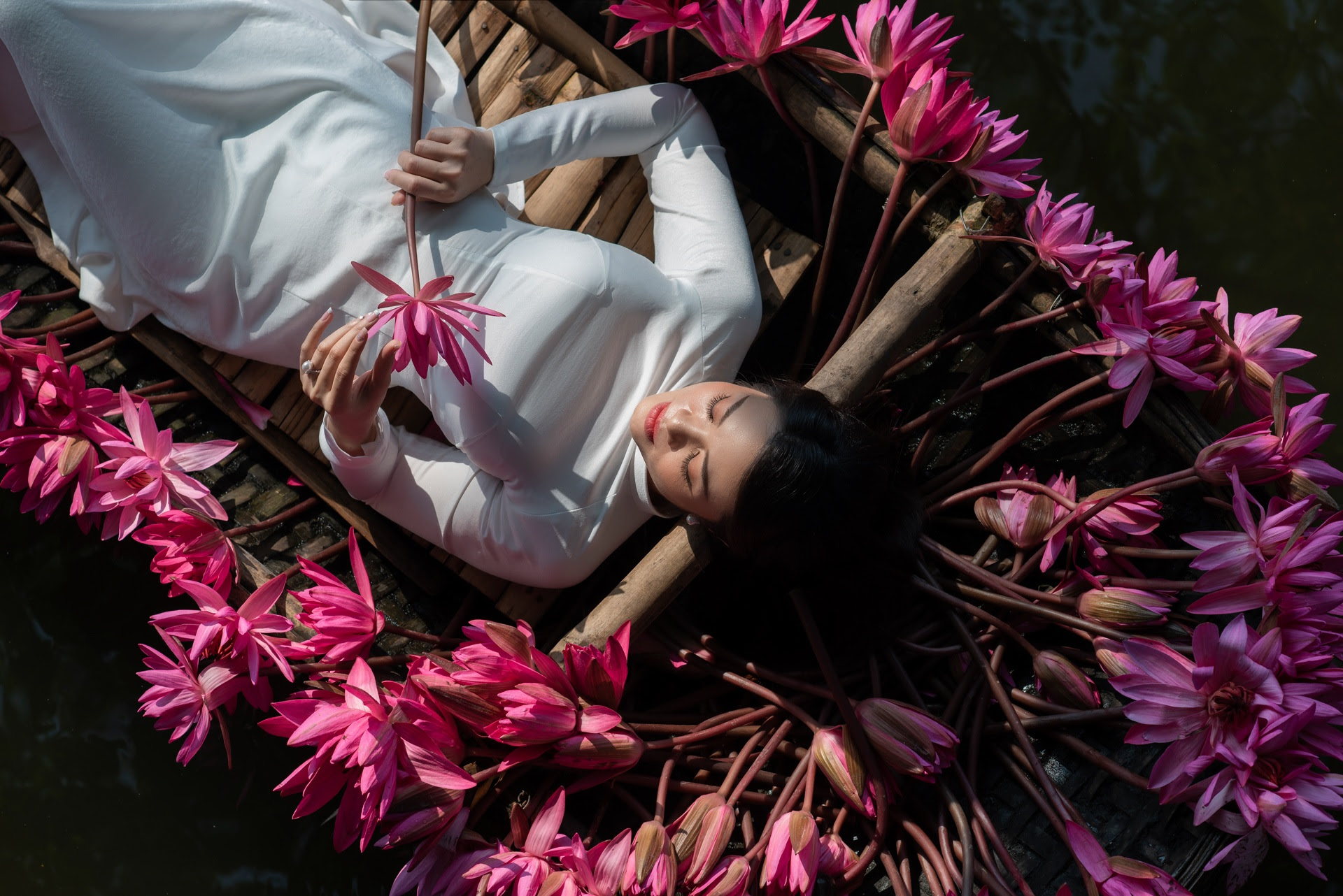 Mùa hoa súng suối Yến hút hồn du khách thập phương - 6 Mùa hoa súng suối Yến hút hồn du khách thập phương - 6